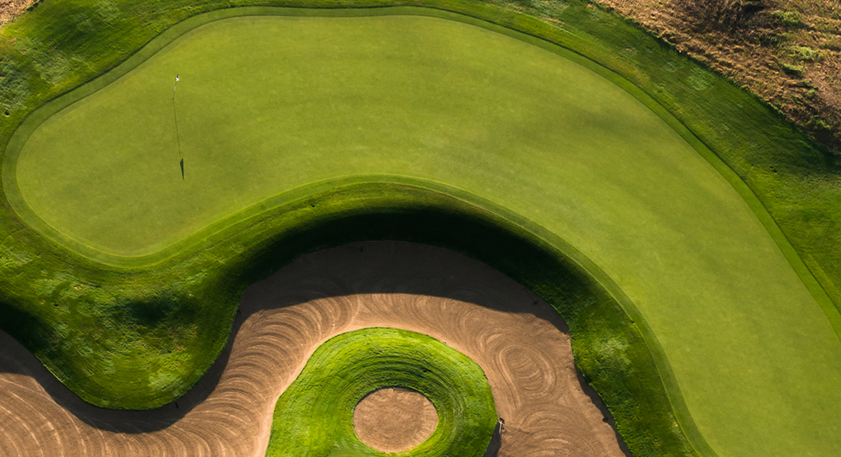 An Experience You'll Never Forget